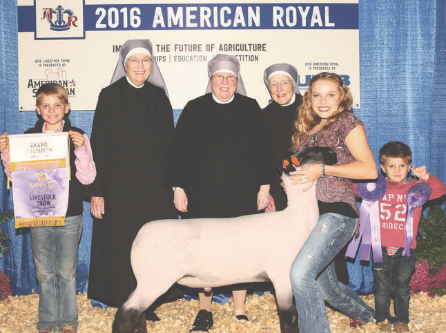 American Royal – Junior Premium Livestock Auction