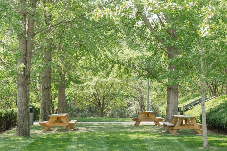 To Have And To Host – Picnic at the Park