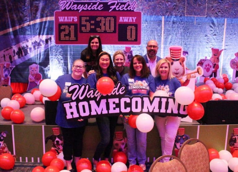 Wayside Waifs 2021 Fur Ball The Independent