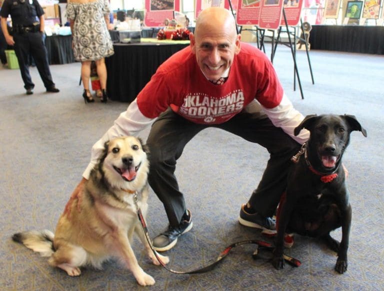 Wayside Waifs 2021 Fur Ball The Independent