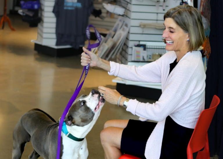 Kansas City Pet Project 10th Anniversary Gala / Love Finds A Way