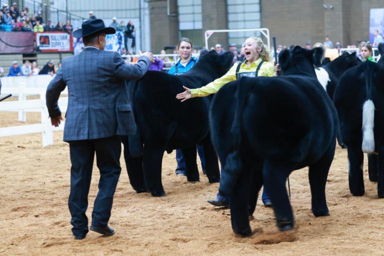 The 2022 American Royal Livestock Show The Independent