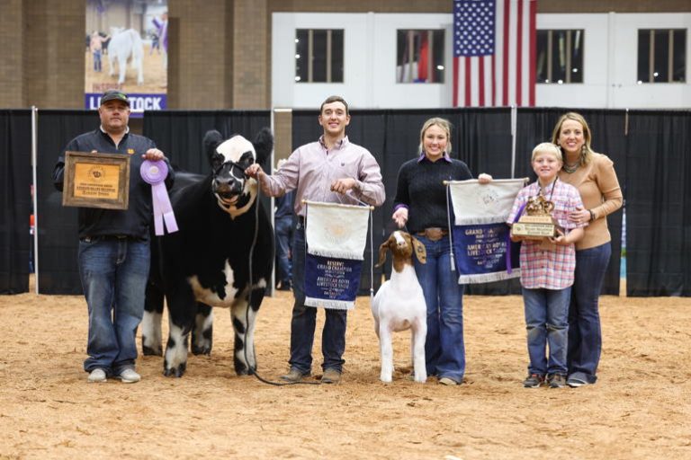 American Royal Livestock Show 2025 Cindee Stephenie